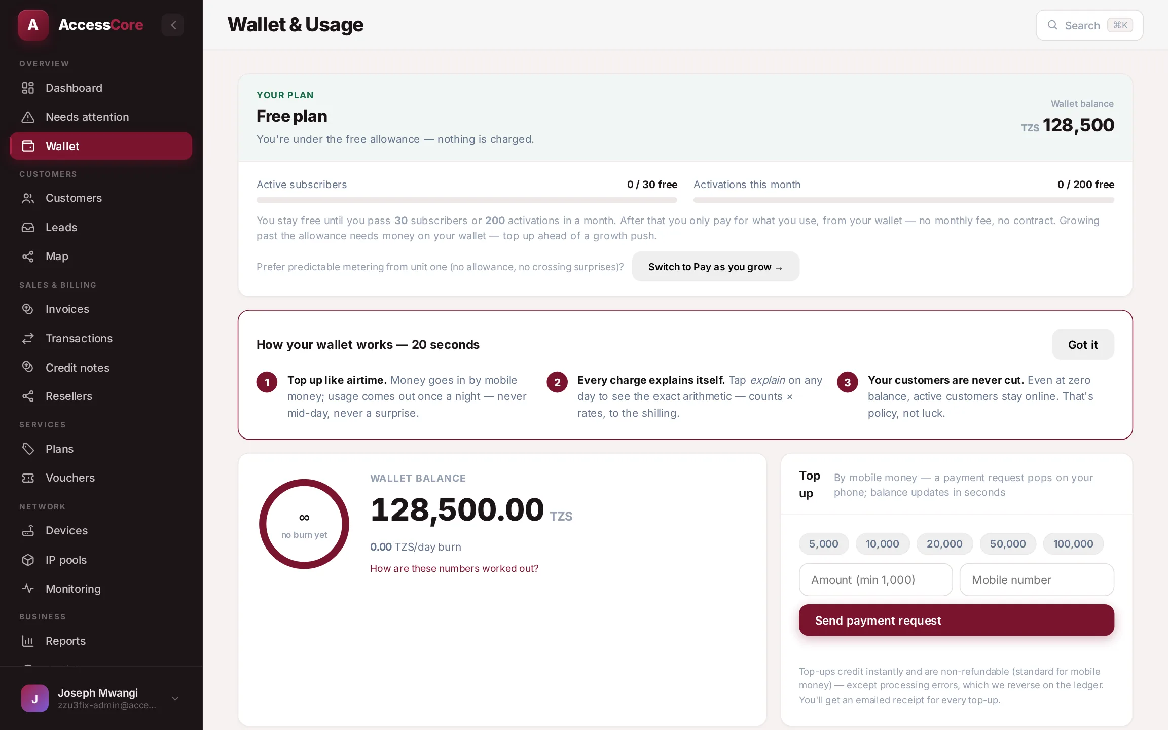 The Wallet page with balance, burn and usage